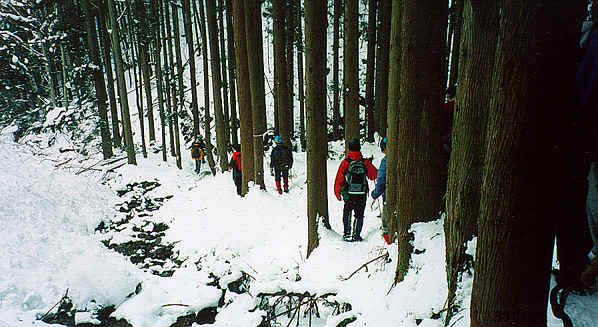 11.JPGi41.JPG (40263 �o�C�g)